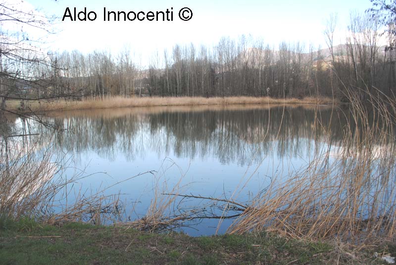 LAGO DI PRA' DI LAMA: LAGO 8' IMMAGINE